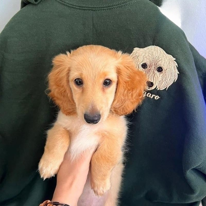 Op Maat Geborduurde Hondenhoodie. Voeg Het Gezicht Van Uw Huisdier Toe Aan Een Sweatshirt Met Naam