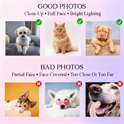 Gepersonaliseerde hoodie met portret van een huisdier - geborduurde naam van het huisdier, gepersonaliseerde hondenkop van je foto, hoodie in Varsity-stijl, cadeaus voor hondenliefhebbers