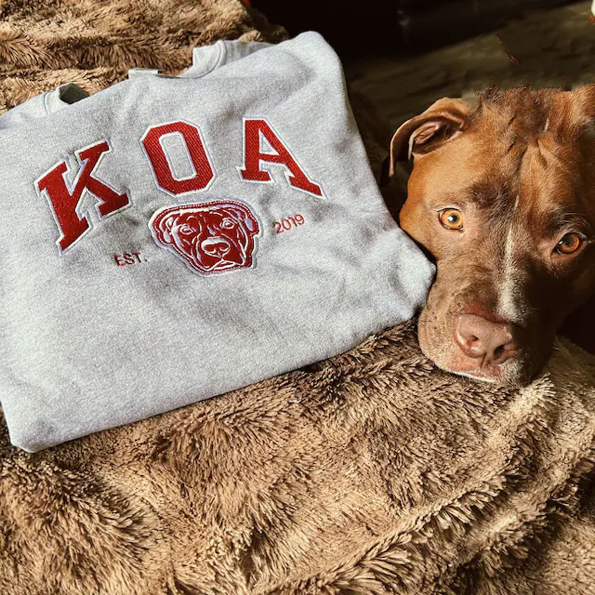 Varsity Gepersonaliseerd Hondengezicht Sweatshirt Van Uw Foto, Aangepaste Hond Papa Sweatshirt Met Geborduurde Hondennaam, Cadeaus Voor Hondenliefhebbers